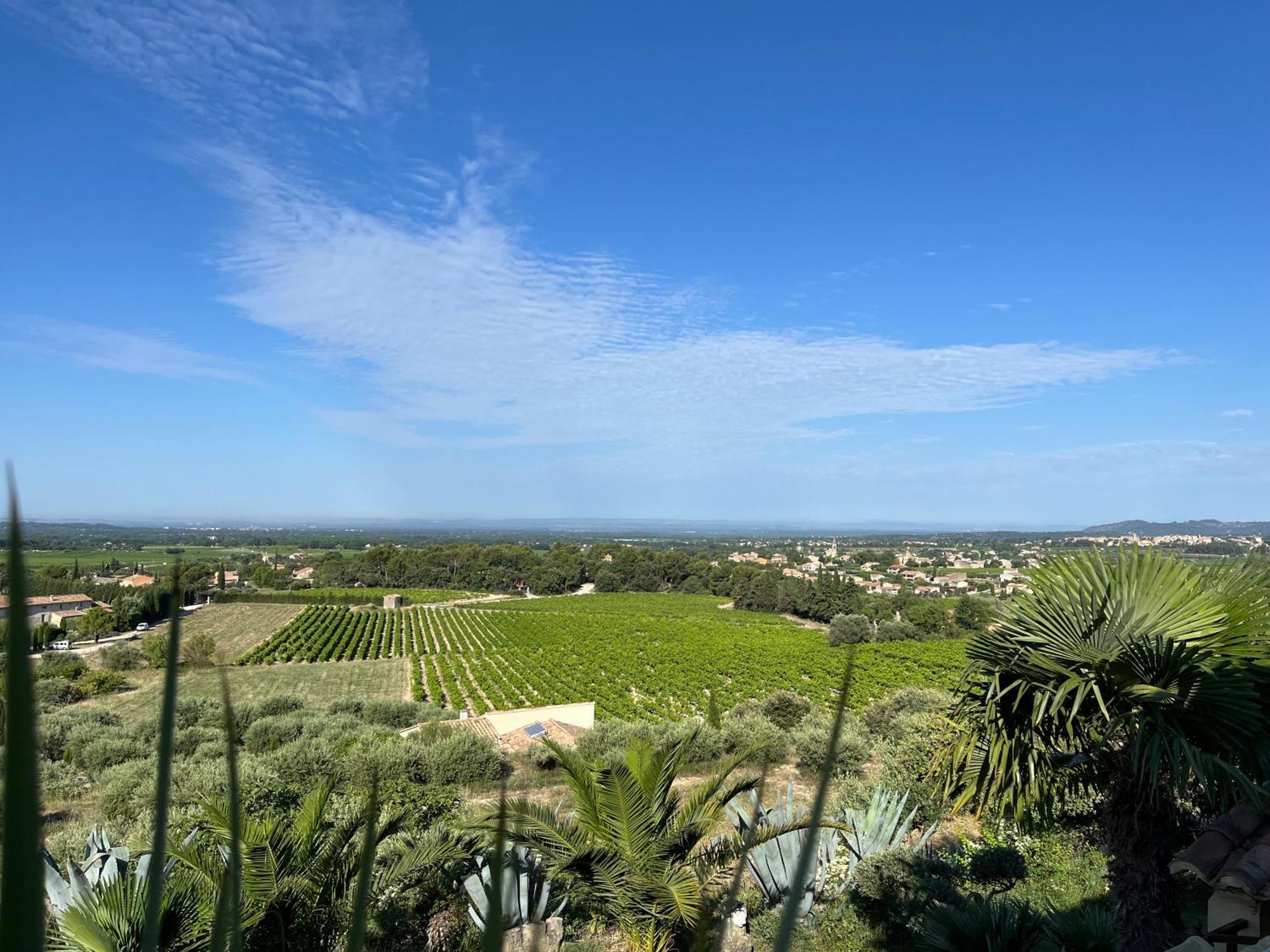 La Thomalie Bed & Breakfast Crillon-le-Brave Eksteriør bilde